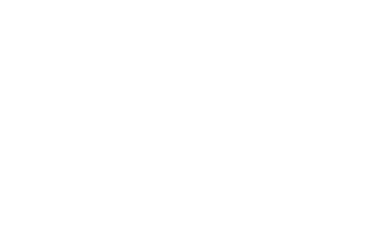 Master Builders
